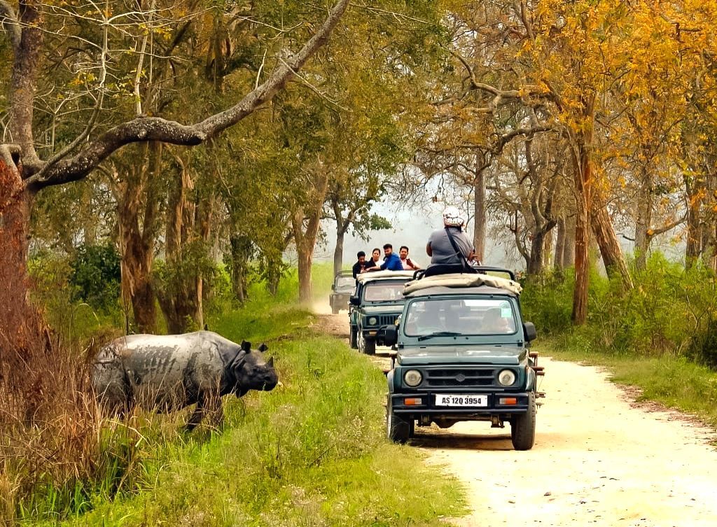 Meghalaya Assam wildlife package